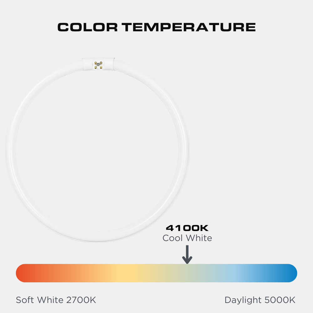 FC8T5/CW - 22 Watt - T5 Circline Fluorescent Tube - 4100K