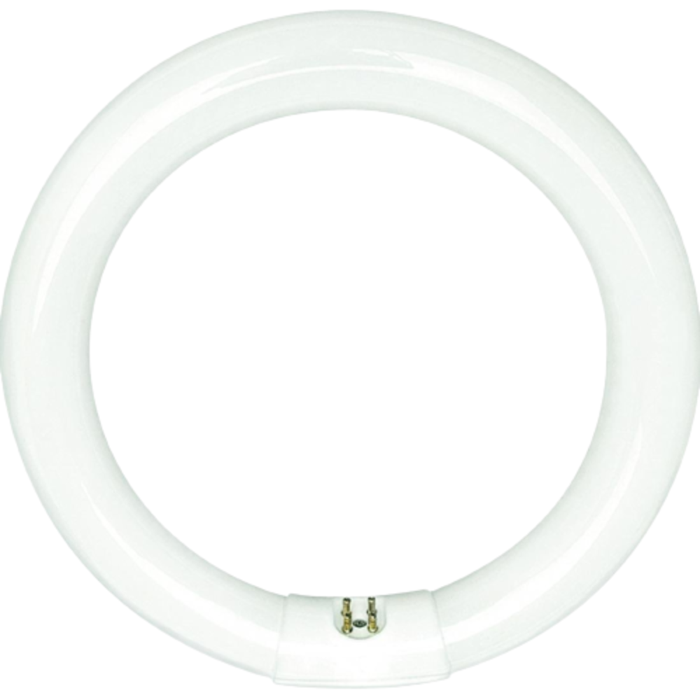 FC8T9/CW - 22 Watt - T5 Circline Fluorescent Tube - 4100K Four Bros Lighting